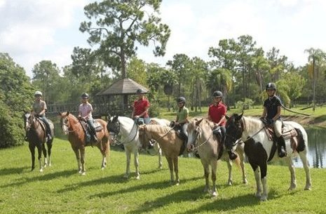 Jupiter Equestrian Center