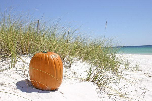 30 Reasons to Love Autumn in Florida - Jupiter Florida Fans
